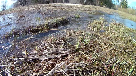 Spring Stream on a Meadow Looped Stock Footage 102912833