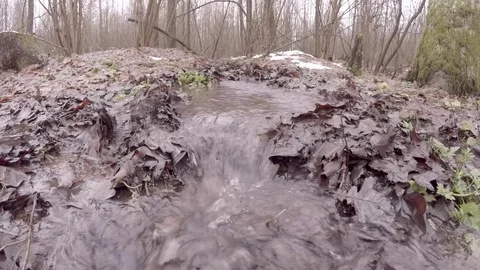 Spring stream from melted snow. Stock Footage 84512566