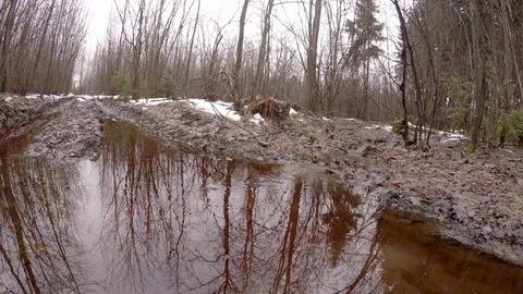 Spring stream from melted snow. Stock Footage 84515432