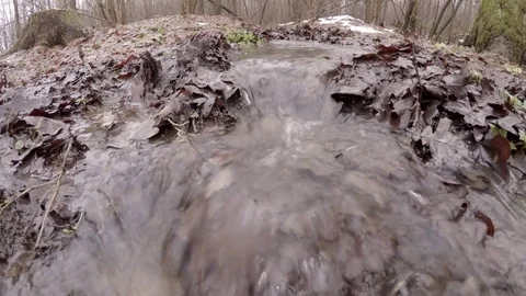 Spring stream from melted snow. Stock Footage 84516528