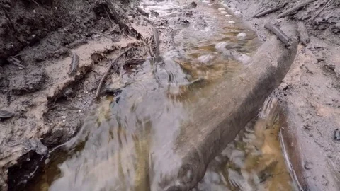 Spring stream from melted snow. Stock Footage 84519057