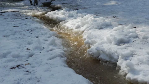 Spring stream of meltwater run from the melting snow in woods in nature Stockbeeldmateriaal 331873467