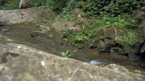 Spring stream merrily flows along the rocky slope of the mountain between stones Stock Footage 225711746
