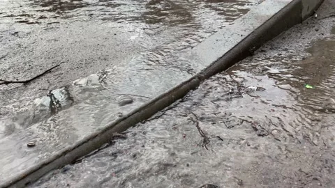 Spring stream on the pavement and a man with a dog Stock Footage 151219819