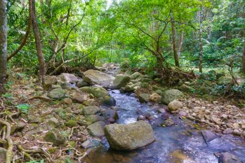 Spring stream Stock Photos