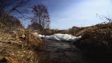 Spring stream running through a field on a sunny day. Spring ladnscape Stock Footage 106575441
