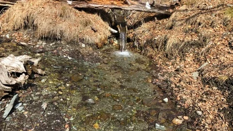 Spring stream in Siberia Stock Footage 105491938