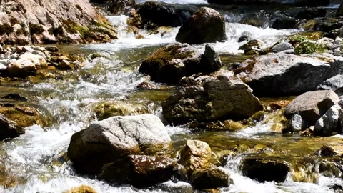 Spring stream Varínka in Vratná dolina Stock Footage 155155312