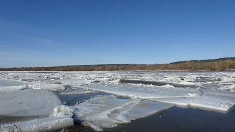 Spring streams after the snow in the park Stock Footage 88528630