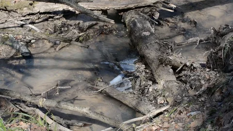 Spring streams after the snow in the park Stock Footage 88569425