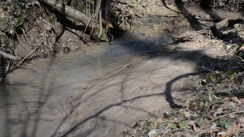 Spring streams after the snow in the park Stock Footage 88569427