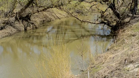 Spring streams after the snow in the park Video stock 90019656
