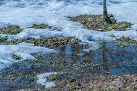 Spring streams carve intricate patterns in soil through melting ice water. .. Stock Photos