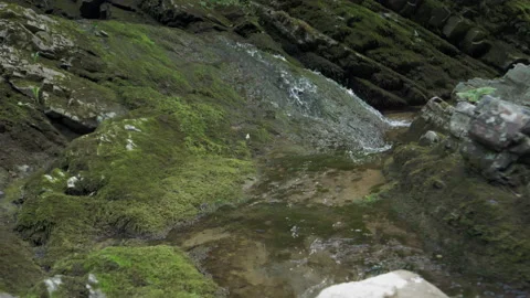 Spring streams with clean, clear, cold water merrily run down the mountainside Stock Footage 233785556