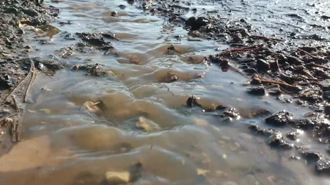 Spring streams flow through the streets, snow melts in spring on a sunny day Stock Footage 151545177