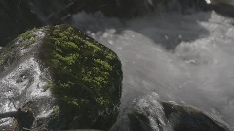 Spring Streams, moss ferns Stock Footage 127997534