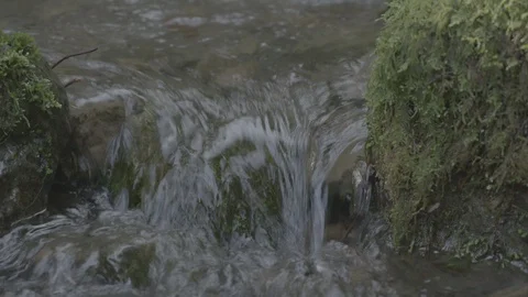 Spring Streams, moss ferns Stock Footage 127999960