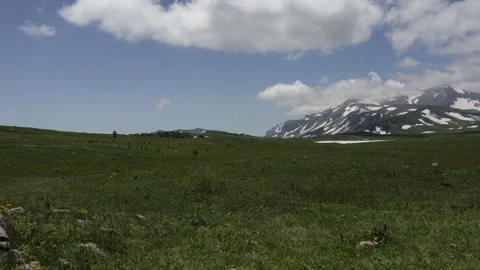 Spring, sub alpine meadows on the terrain with mountain views Stock Footage 278920782