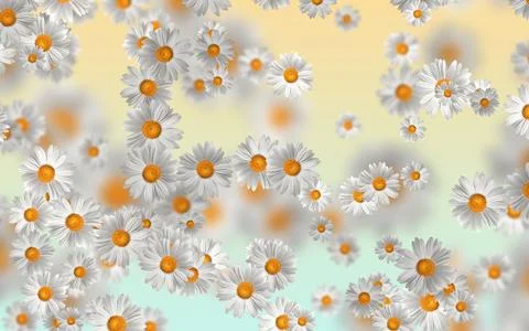 Spring-Summer concept. Chamomile flower pattern background. Flower pattern fo 스톡 일러스트