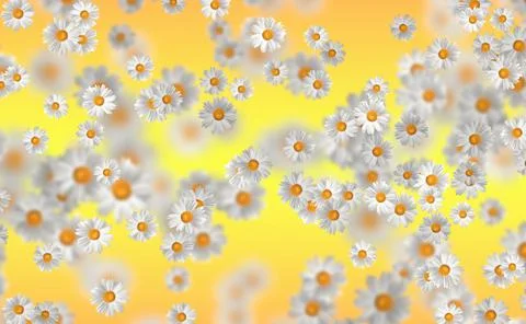 Spring-Summer concept. Chamomile flower pattern background. Flower pattern fo Stock Illustration