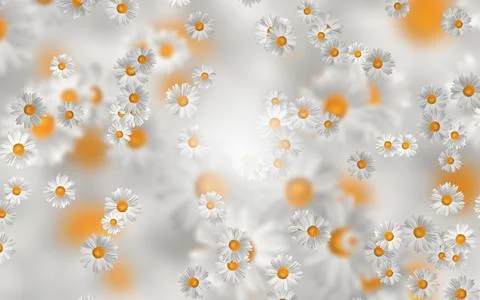 Spring-Summer concept. Chamomile flower pattern background. Flower pattern fo 스톡 일러스트