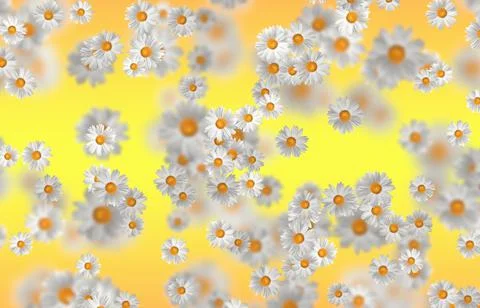 Spring-Summer concept. Chamomile flower pattern background. Flower pattern fo 스톡 일러스트