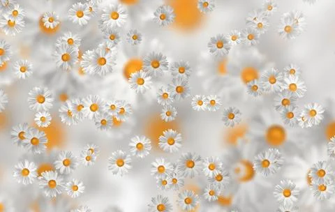 Spring-Summer concept. Chamomile flower pattern background. Flower pattern fo 스톡 일러스트