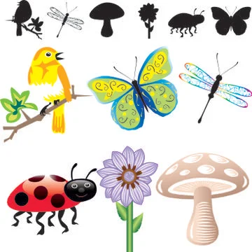 Spring Summer Icons Stock Illustration