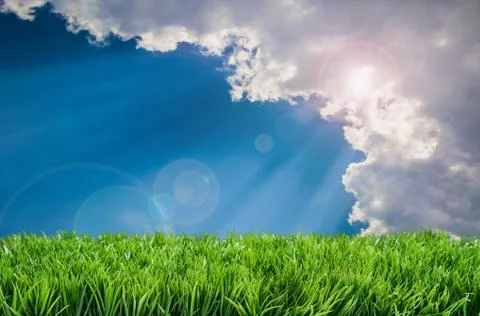 Spring Summer Lawncare Stock Illustration