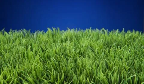 Spring Summer Lawncare Stock Illustration