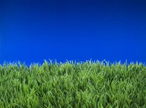 Spring Summer Lawncare Stock Illustration