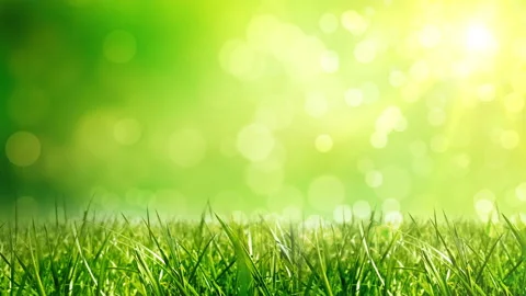 Spring, Summer nice landscape with sunlights. Video stock 107593162