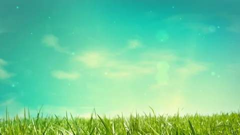 Spring, Summer nice landscape with sunlights. Looped 4K motion graphic. Stock Footage 110695201