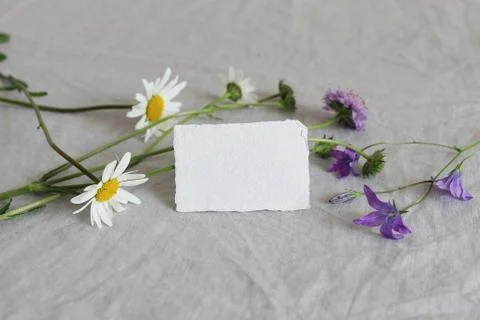 Spring, summer still life composition. Closeup of blank business, place card 写真素材