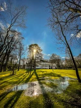 Spring sun between the trees in the park and sunbeams with reflection Stock Photos