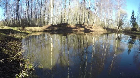 Spring sun light on a pond, time lapse 4K Video stock 62502751