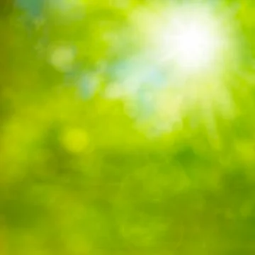 Spring Sun Stock Photos