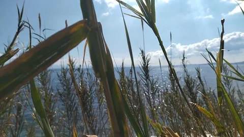 Spring sun reflected in the sea against the backdrop of a blue sky with clouds Stock Footage 305030281