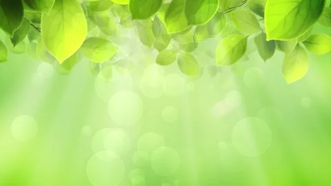 Spring Sun Shine Background Stock Footage 204145974