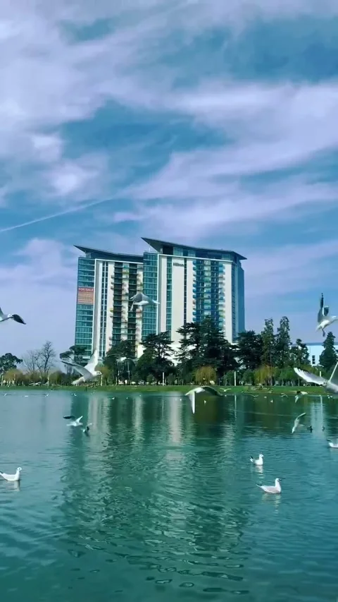 Spring sunny day at the lake with white birds flying, Batumi Georgia Stock Footage 148498280