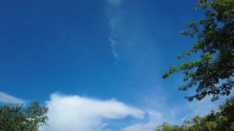 Spring Sunny Day at the Park with Blue Sky - Porto, Portugal Stockbeeldmateriaal 153215853