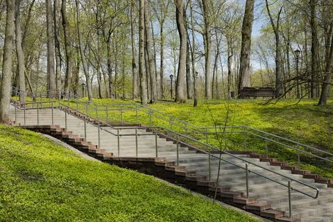 Spring sunny day, steps in the old park, a lot of green grass. Seasons. Natur Stock Photos