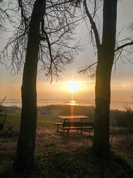 Spring sunrise over the river with tree silhouettes and a bench on the bank. Stock Photos