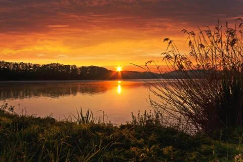 Spring Sunrise on the pond Stock Photos