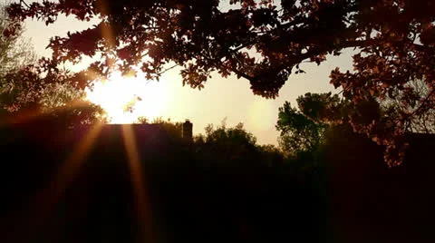 Spring sunset Video stock 23347822