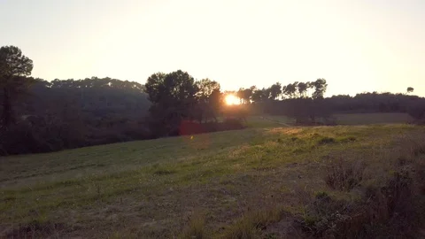 Spring sunset on the harvest field Stock Footage 125582331