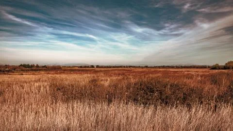 Spring sunset in the lagoon of Grado Stock Photos