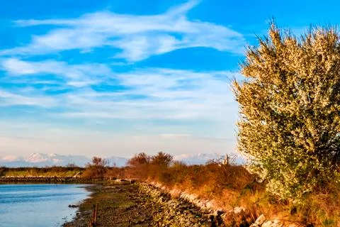 Spring sunset in the lagoon of Grado Stock Photos
