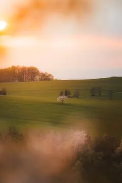 Spring sunset over blooming trees and green meadows in Kozlovice Beskydy Mo.. Stock Photos