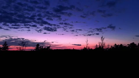 "Spring Sunset Over Forest Canopy" Stock Footage 307789297